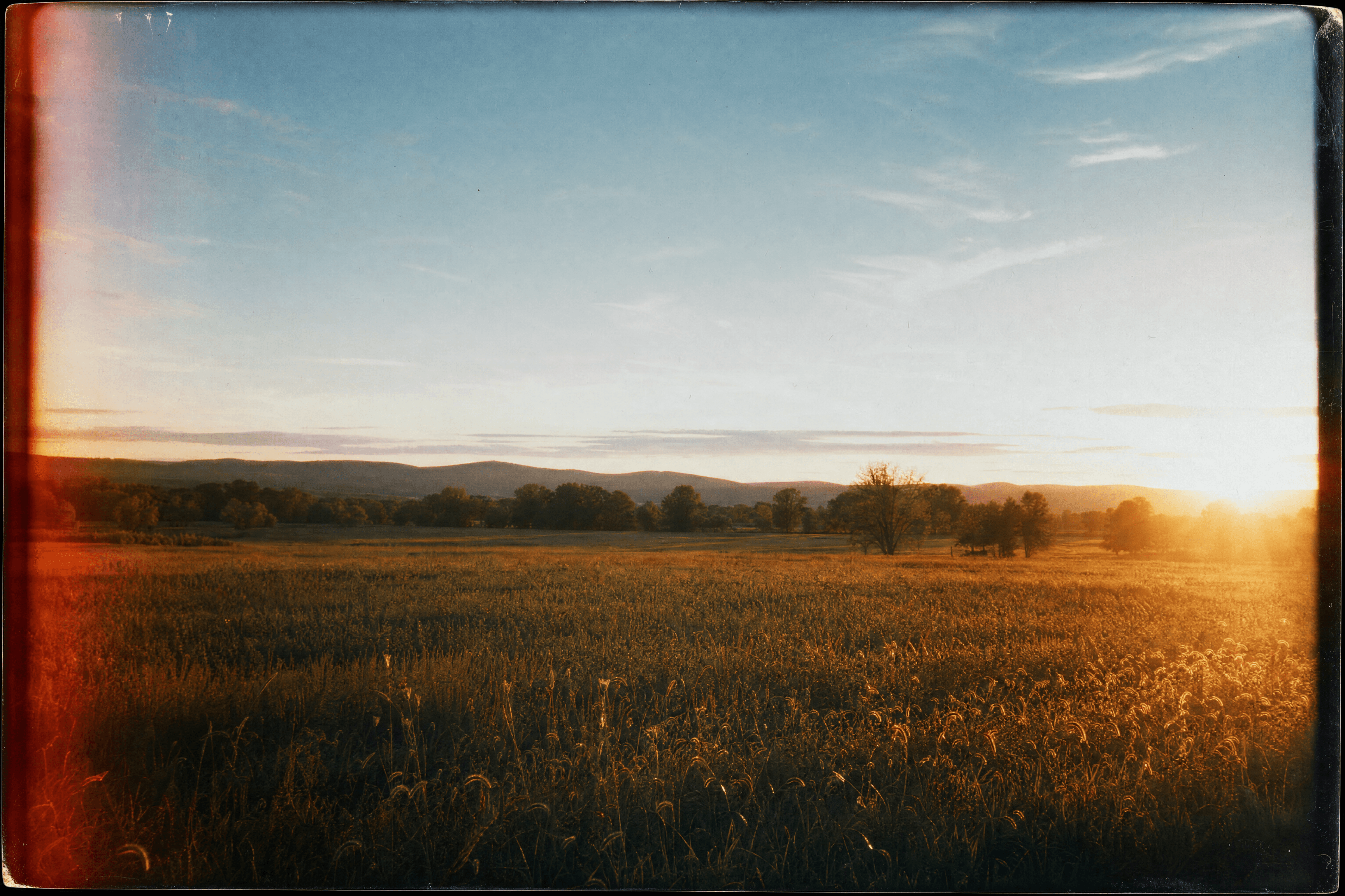 Hudson Valley forest